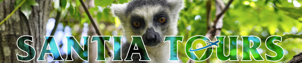 madagascar south